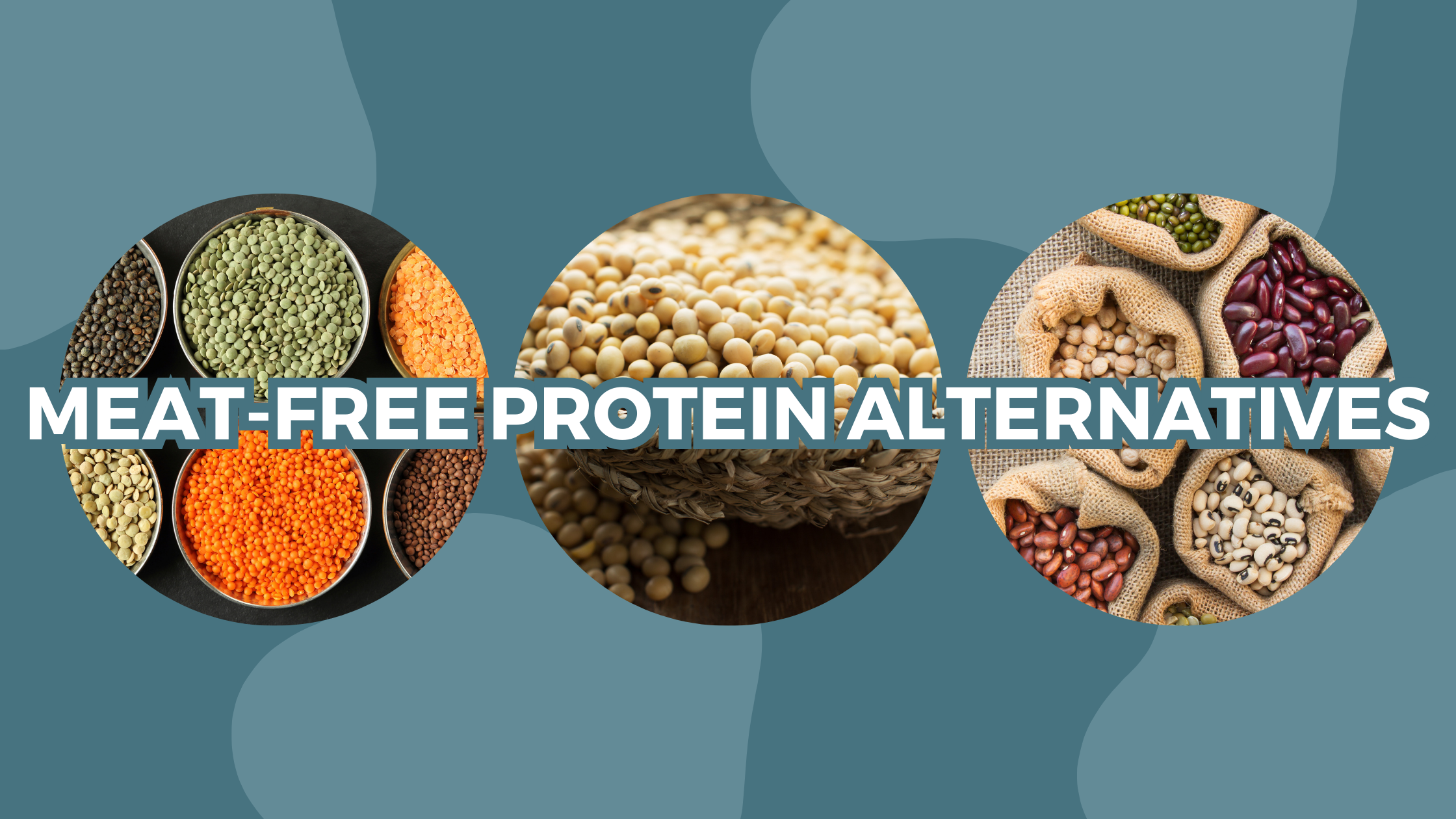 Meat-Free Protein Alternatives