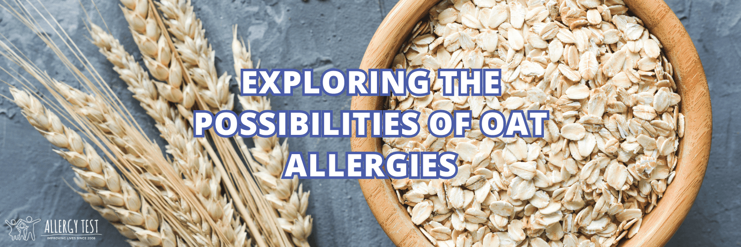 Exploring The Possibilities Of Oat Allergies