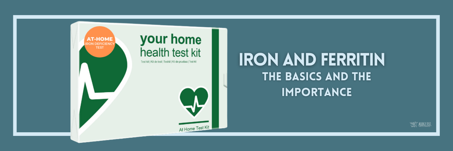 Iron and Ferritin The Basics and the Importance